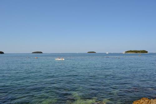 Hostal Apartments Vesna