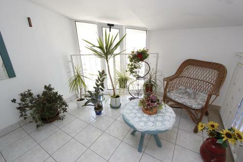 Hostal Apartments Tin