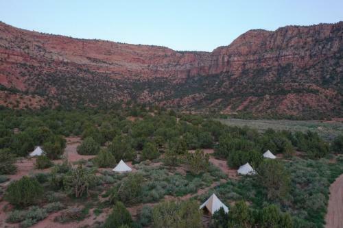 Juniper Grove Camp Zion