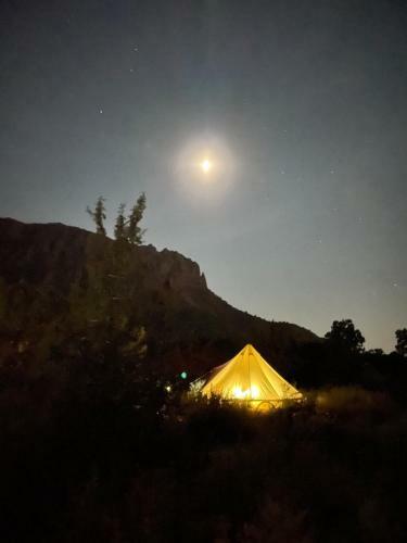 Juniper Grove Camp Zion