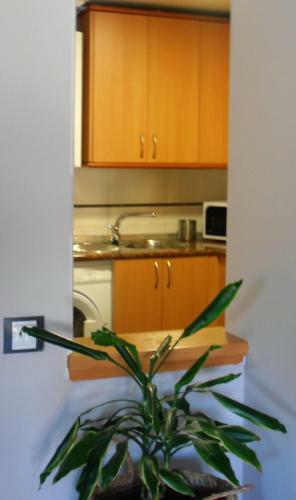 Apartamento La Casa De Alejandro