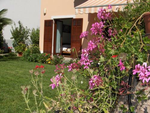 Villa Brigita