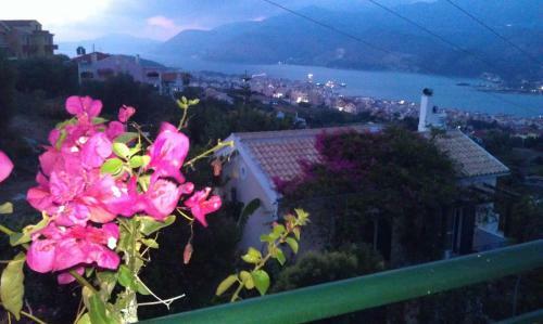 Apartamento Studios Rania