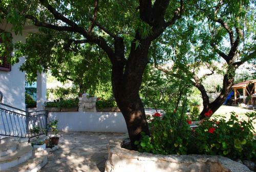 Apartments Natura Jurjevi? Makarska