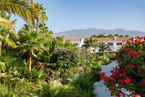 Home2book Cozy Apartment Costa Del Silencio, Pool