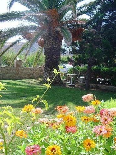 Dimitra Apartments