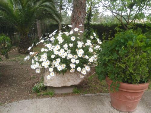 Vivienda Tur�stica Rural Mari Carmen