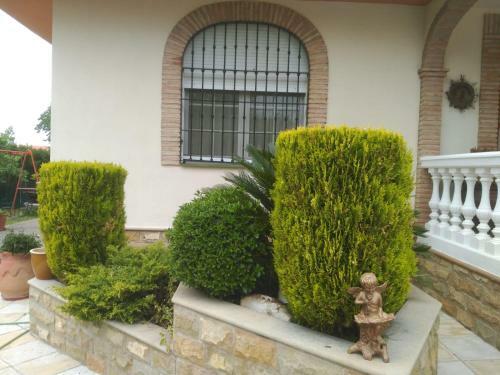 Vivienda Tur�stica Rural Mari Carmen