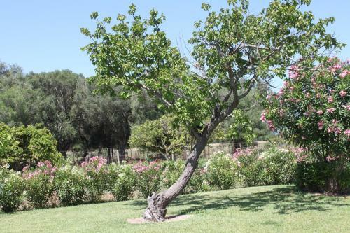 Apartamento Casa Buganvilla