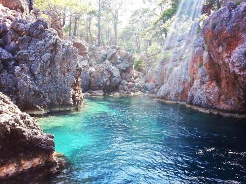 Hostal Olympos Deep Green Bungalows
