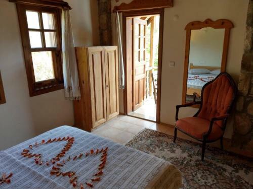 Hostal Olympos Koyevi Pension