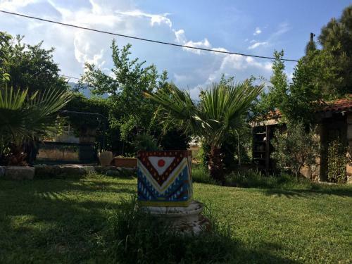 Hostal Olympos Koyevi Pension