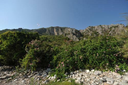 Hostal Olympos Koyevi Pension