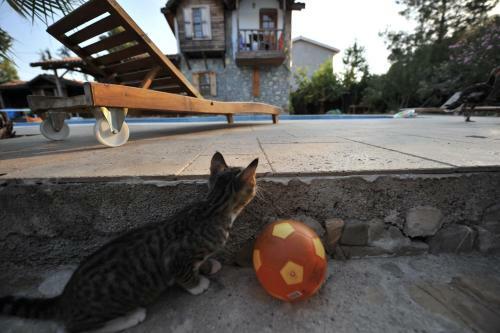 Hostal Olympos Koyevi Pension