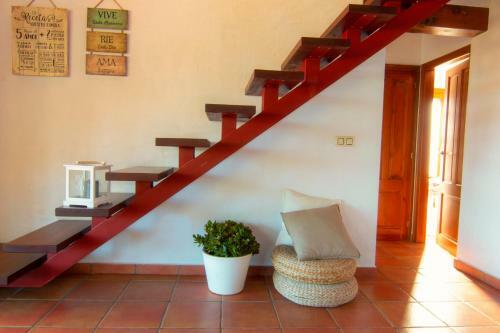 Finca Romer