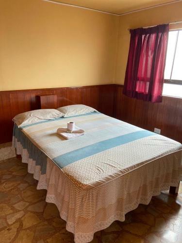Recuerdos Hostal