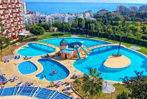 Apartamento Estudio Minerva 241