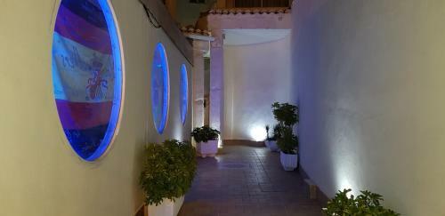 Malva Loca Apartment
