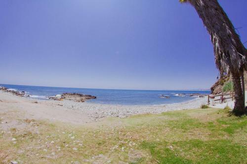 Apartamento Casinomar Frente Al Mar