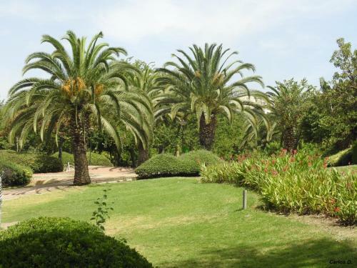 Beautiful Apartment With Sea Views, Benal Beach
