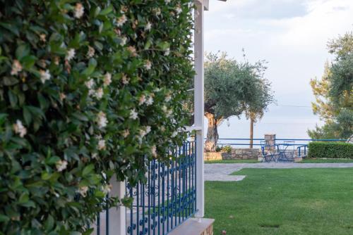 Tassos Apartments