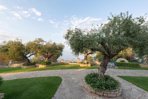 Tassos Apartments