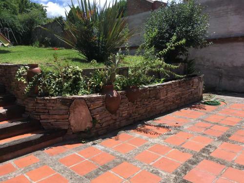 Corte 2146