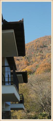 Voreas Hotel