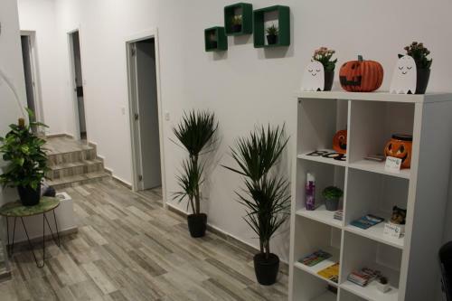 Apartamentos Pino Central