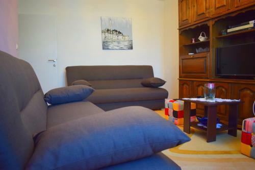 Marin Apartment