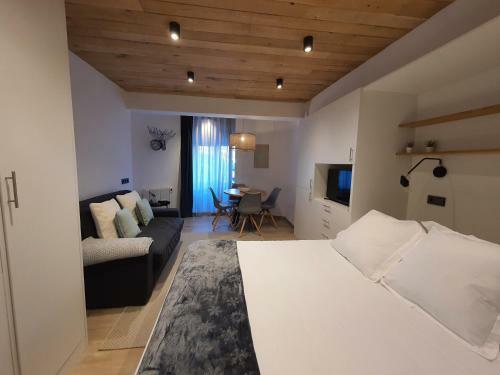 Apartamento Estudio Vielha XX
