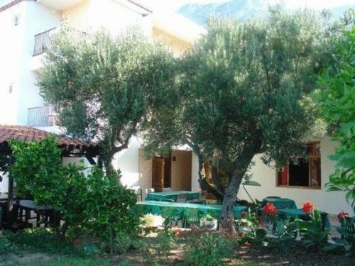 Bed & Breakfast Pension Vice