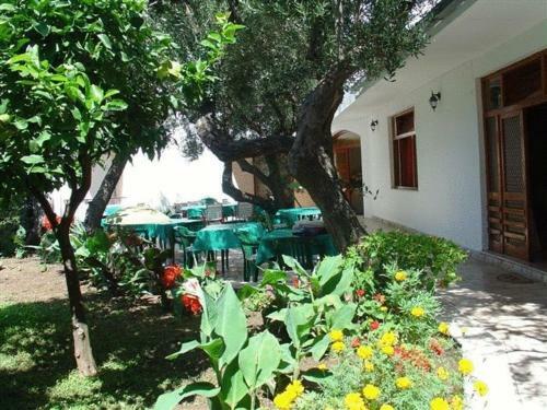 Bed & Breakfast Pension Vice