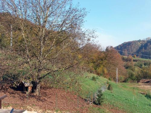 Hotel Amarilis