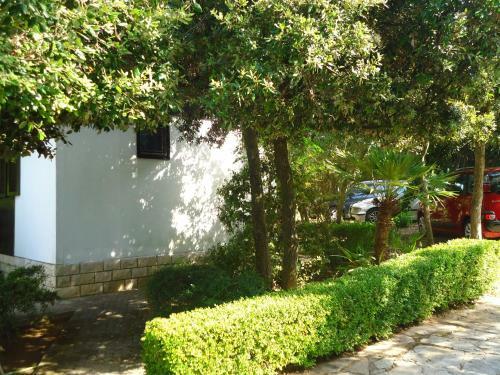 Hostal Guesthouse Lisica
