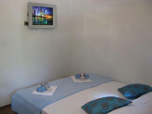 Hostal Guesthouse Lisica