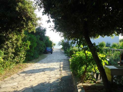 Hostal Guesthouse Lisica