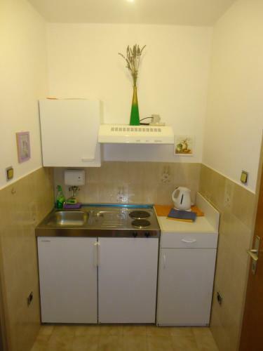 Hostal Guesthouse Lisica