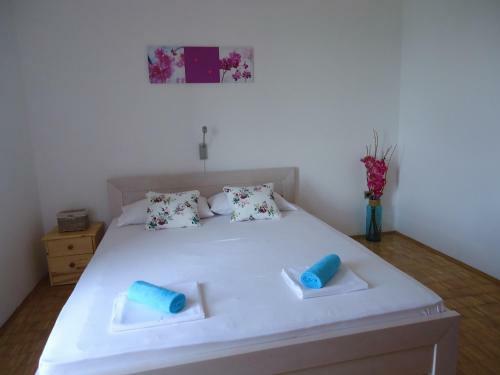 Hostal Guesthouse Lisica