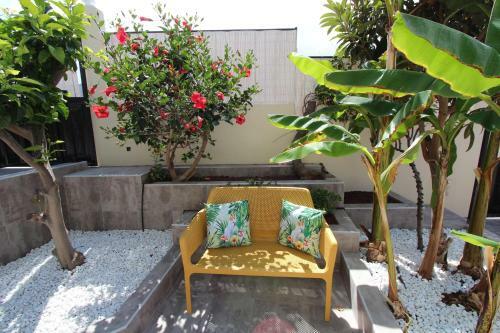 Villa Viva Tropical