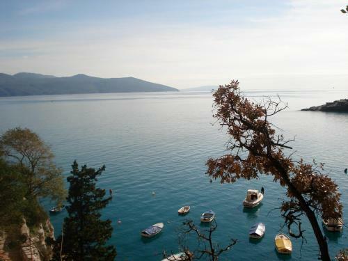 Hostal Guesthouse Villa Galovic