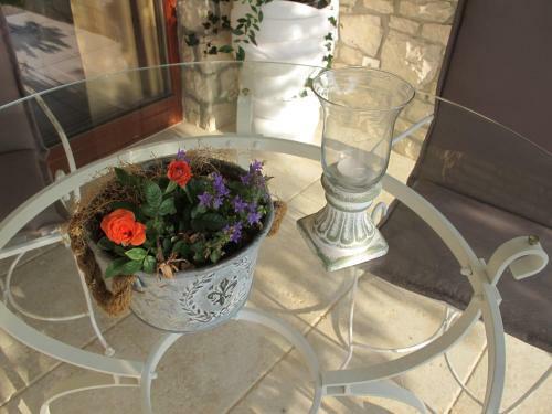 Hostal Villa Castello Rausch