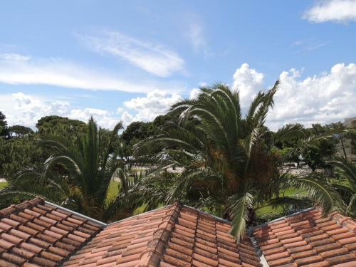 Seaside Apartments