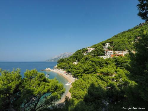 Bed & Breakfast Villa Petra