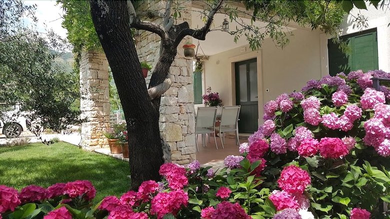 Apartments Villa Brumnic