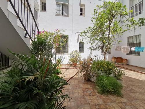 Apartamento The Traveller`s House The Lemon Tree