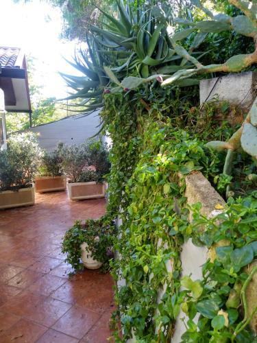 Apartamento Tramonto Blu