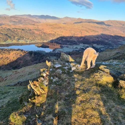 Apartamento Bohemian Suite On Rydal Water. Beautiful Location!