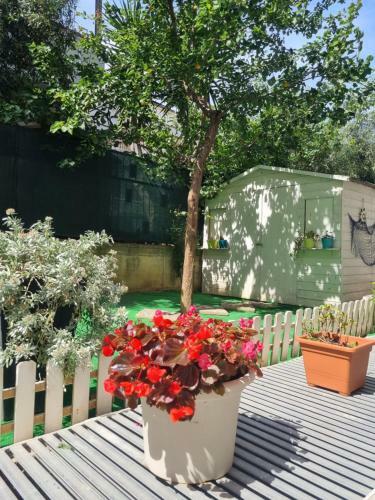 Apartamento Casa Vacanza Sul Mare Da Tommaso