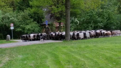 Ferienwohnungen Tewes